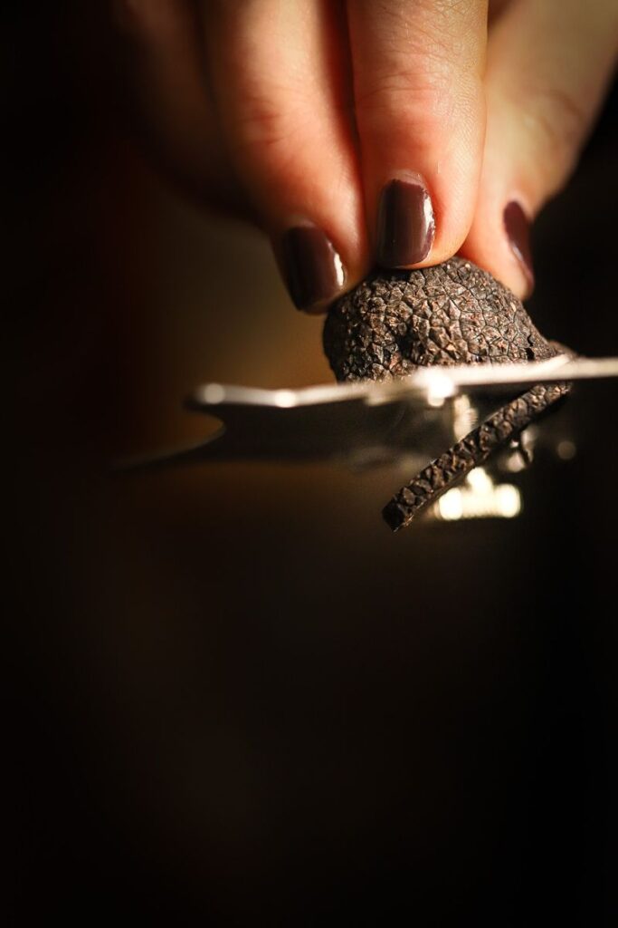 Kuidas säilitada ja käsitleda värskeid trühvleid kodus?