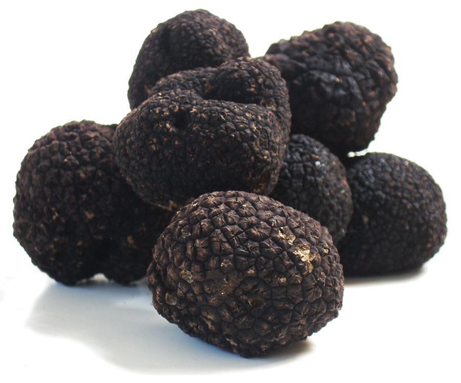 Black summer truffle, Tuber Aestivum 100 gram Black summer truffle, Tuber Aestivum 100 gram - Image 2